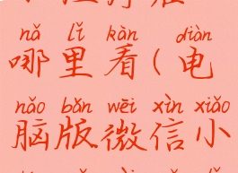 电脑版微信小程序在哪里看(电脑版微信小程序在哪里看记录)