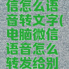 电脑上微信怎么语音转文字(电脑微信语音怎么转发给别人听)