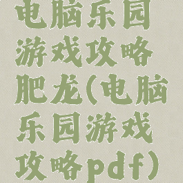 电脑乐园游戏攻略肥龙(电脑乐园游戏攻略pdf)