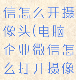 电脑企业微信怎么开摄像头(电脑企业微信怎么打开摄像头)