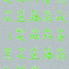 电脑抖音怎么直播游戏(电脑抖音怎么直播游戏画面)
