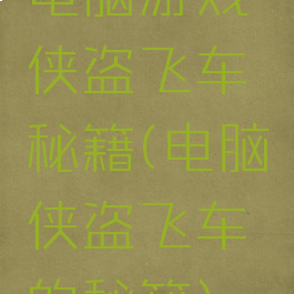 电脑游戏侠盗飞车秘籍(电脑侠盗飞车的秘籍)