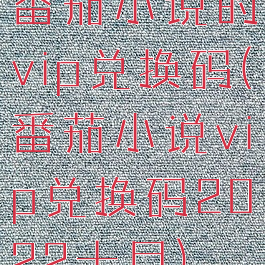 番茄小说的vip兑换码(番茄小说vip兑换码2022十月)