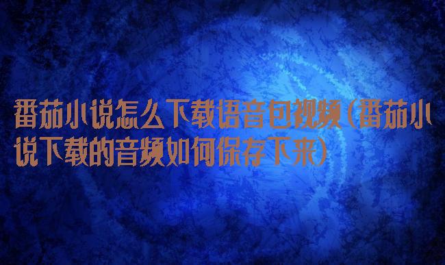 番茄小说怎么下载语音包视频(番茄小说下载的音频如何保存下来)