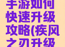 疾风之刃手游如何快速升级攻略(疾风之刃升级攻略70)