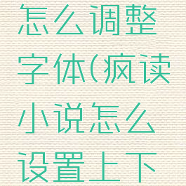 疯读小说怎么调整字体(疯读小说怎么设置上下翻页)