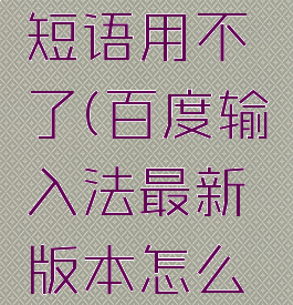 百度输入法自定义短语用不了(百度输入法最新版本怎么没有自定义了)