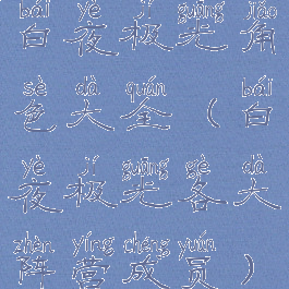 白夜极光角色大全(白夜极光各大阵营成员)