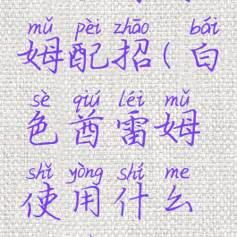 白色酋雷姆配招(白色酋雷姆使用什么道具)