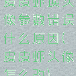 皮皮虾换头像参数错误什么原因(皮皮虾头像怎么改)