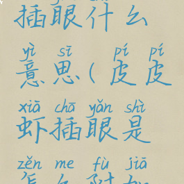 皮皮虾app插眼什么意思(皮皮虾插眼是怎么附加文字)