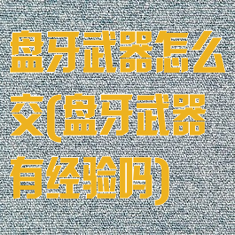 盘牙武器怎么交(盘牙武器有经验吗)