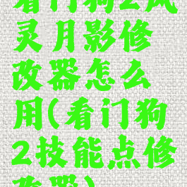 看门狗2风灵月影修改器怎么用(看门狗2技能点修改器)