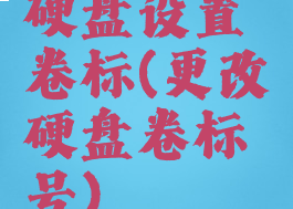 硬盘设置卷标(更改硬盘卷标号)