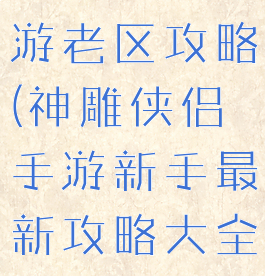 神雕侠侣手游老区攻略(神雕侠侣手游新手最新攻略大全)