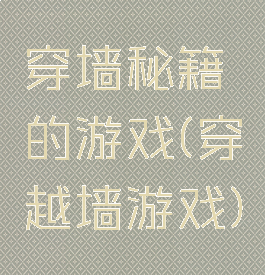 穿墙秘籍的游戏(穿越墙游戏)