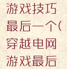 穿越电网游戏技巧最后一个(穿越电网游戏最后一个人)