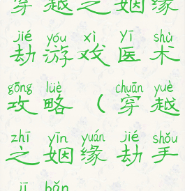 穿越之姻缘劫游戏医术攻略(穿越之姻缘劫手机版)