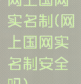 网上国网实名制(网上国网实名制安全吗)