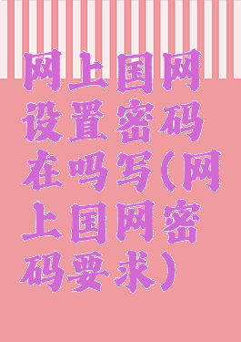 网上国网设置密码在吗写(网上国网密码要求)