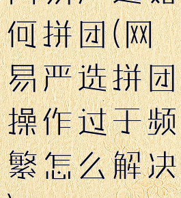 网易严选如何拼团(网易严选拼团操作过于频繁怎么解决)