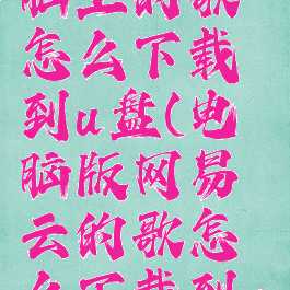 网易云电脑上的歌怎么下载到u盘(电脑版网易云的歌怎么下载到u盘)