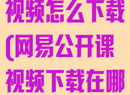 网易公开课的视频怎么下载(网易公开课视频下载在哪个文件夹)