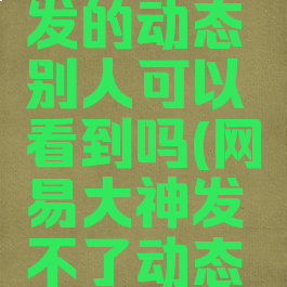 网易大神发的动态别人可以看到吗(网易大神发不了动态刷新消失)