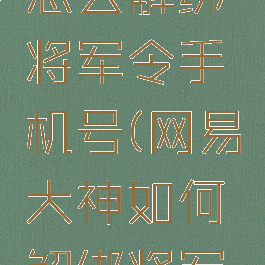 网易大神怎么解绑将军令手机号(网易大神如何解绑将军令)