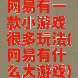 网易有一款小游戏很多玩法(网易有什么大游戏)