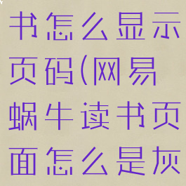 网易蜗牛读书怎么显示页码(网易蜗牛读书页面怎么是灰色的了)