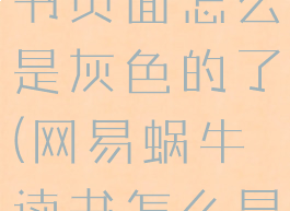 网易蜗牛读书页面怎么是灰色的了(网易蜗牛读书怎么显示页码)