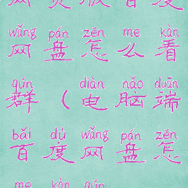 网页版百度网盘怎么看群(电脑端百度网盘怎么看群)