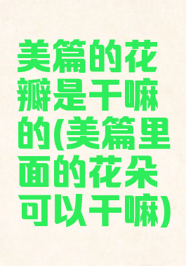 美篇的花瓣是干嘛的(美篇里面的花朵可以干嘛)