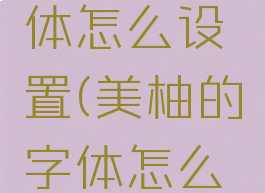 美柚的字体怎么设置(美柚的字体怎么设置好看)