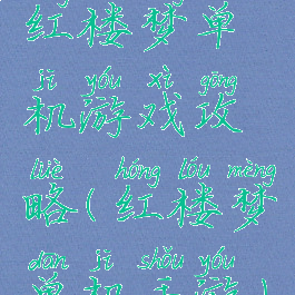红楼梦单机游戏攻略(红楼梦单机手游)