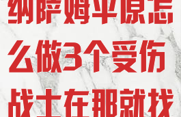 纳萨姆平原(纳萨姆平原怎么做3个受伤战士在那就找)