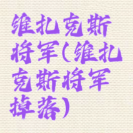 维扎克斯将军(维扎克斯将军掉落)