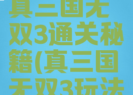 经典游戏真三国无双3通关秘籍(真三国无双3玩法)