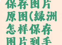 绿洲怎么保存图片原图(绿洲怎样保存图片到手机)