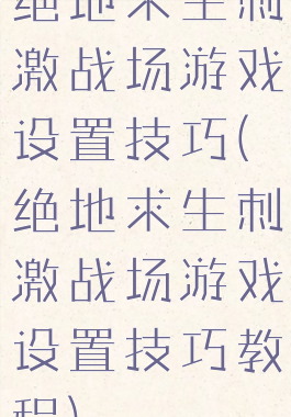 绝地求生刺激战场游戏设置技巧(绝地求生刺激战场游戏设置技巧教程)