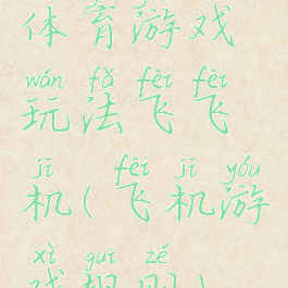体育游戏玩法飞飞机(飞机游戏规则)