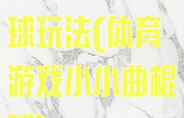 体育游戏曲棍球玩法(体育游戏小小曲棍球)