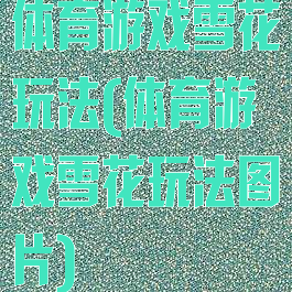 体育游戏雪花玩法(体育游戏雪花玩法图片)