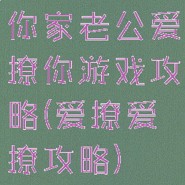 你家老公爱撩你游戏攻略(爱撩爱撩攻略)