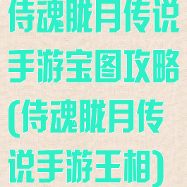 侍魂胧月传说手游宝图攻略(侍魂胧月传说手游王相)