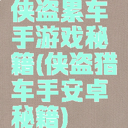 侠盗累车手游戏秘籍(侠盗猎车手安卓秘籍)