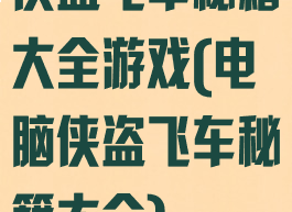 侠盗飞车秘籍大全游戏(电脑侠盗飞车秘籍大全)