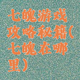 七魄游戏攻略秘籍(七魄在哪里)