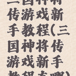 三国神将传游戏新手教程(三国神将传游戏新手教程在哪)